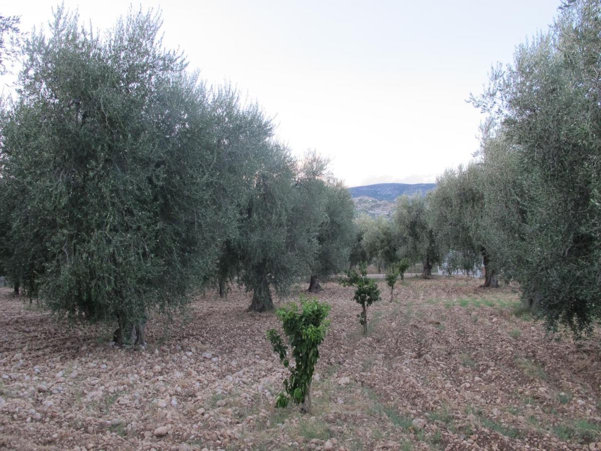 Olive&Sea Villa-Sea Mattinata Luaran gambar