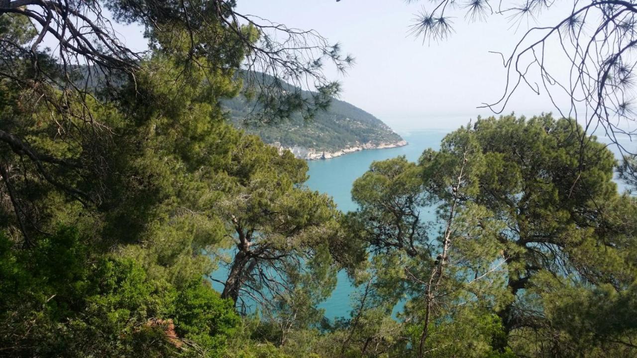 Olive&Sea Villa-Sea Mattinata Luaran gambar