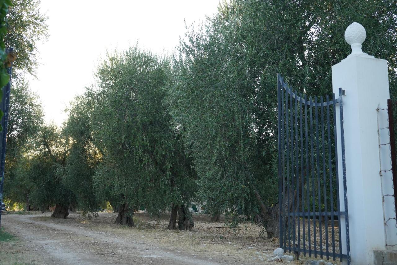 Olive&Sea Villa-Sea Mattinata Luaran gambar