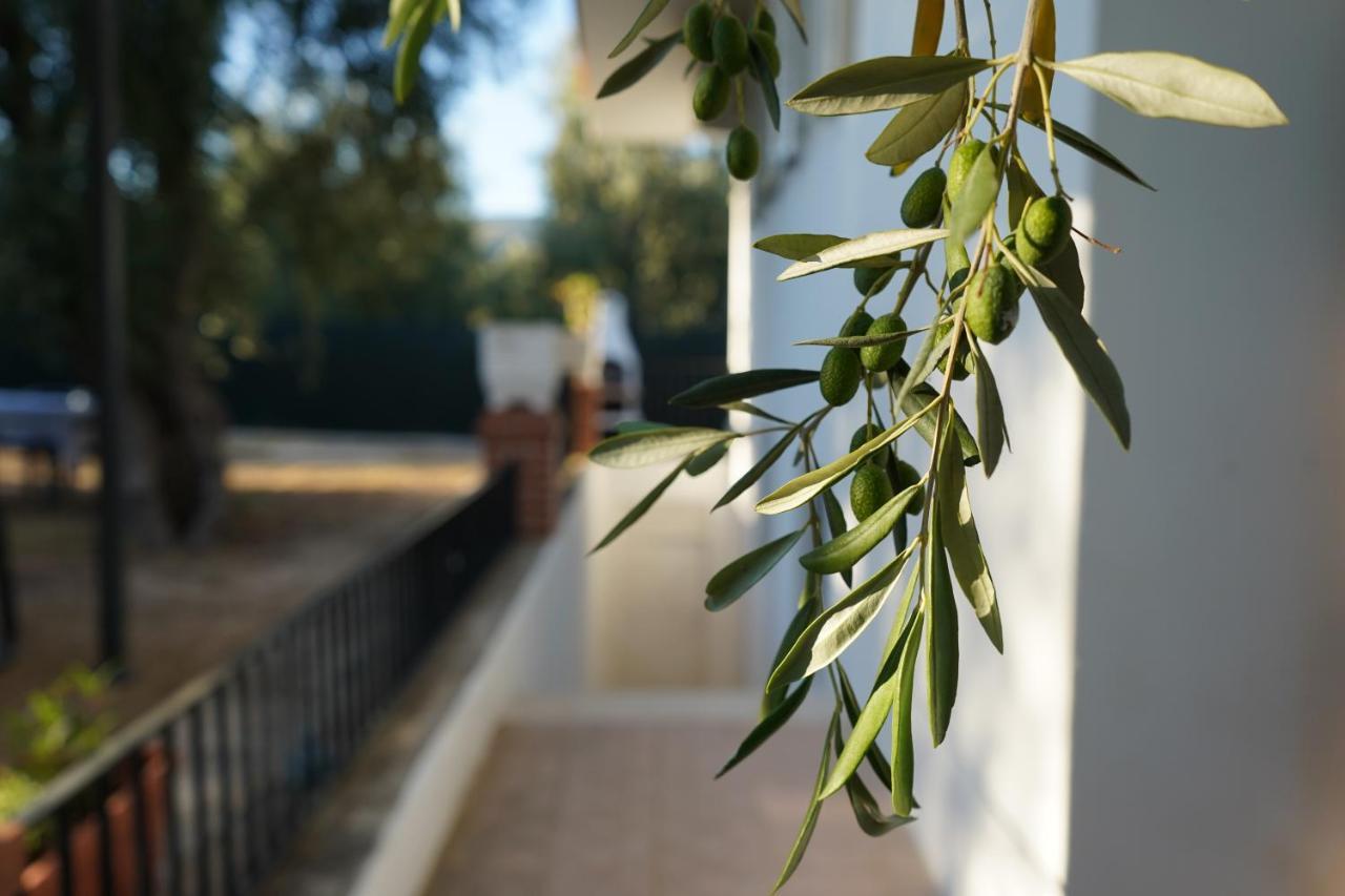 Olive&Sea Villa-Sea Mattinata Luaran gambar