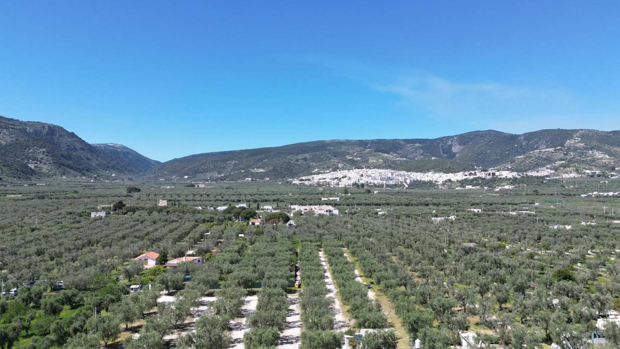 Olive&Sea Villa-Sea Mattinata Luaran gambar