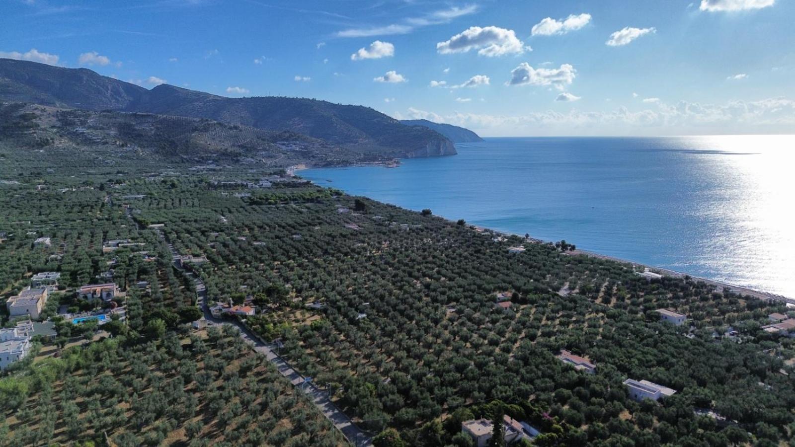 Olive&Sea Villa-Sea Mattinata Luaran gambar